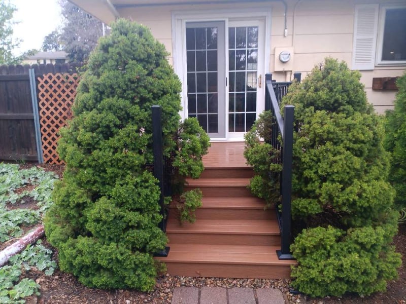 Second-story deck with steel cable railings